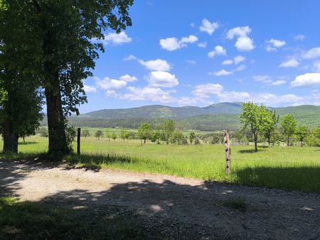 16. regijska orientacija_2026_Palčje_1